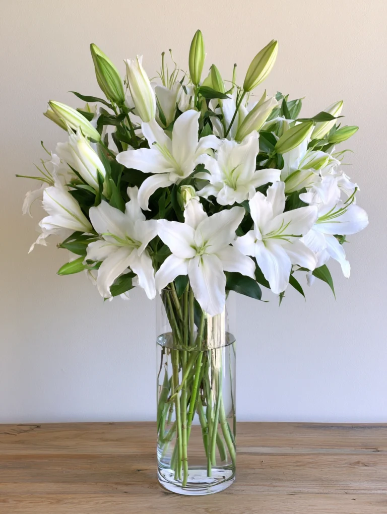 Lilies