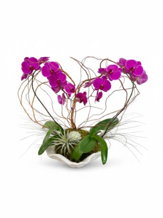 Love Orchid Arrangement