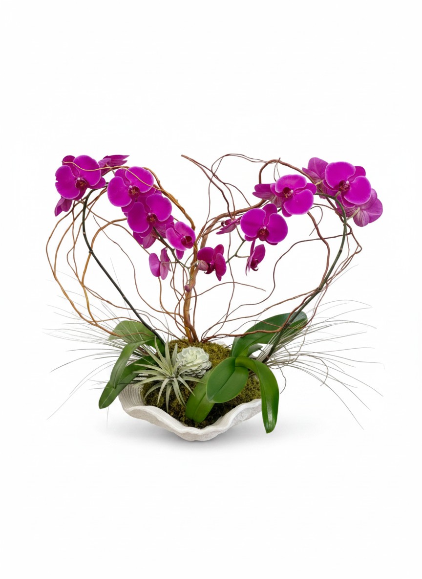 Love Orchid Arrangement
