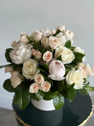 Michelle - peonies coral springs