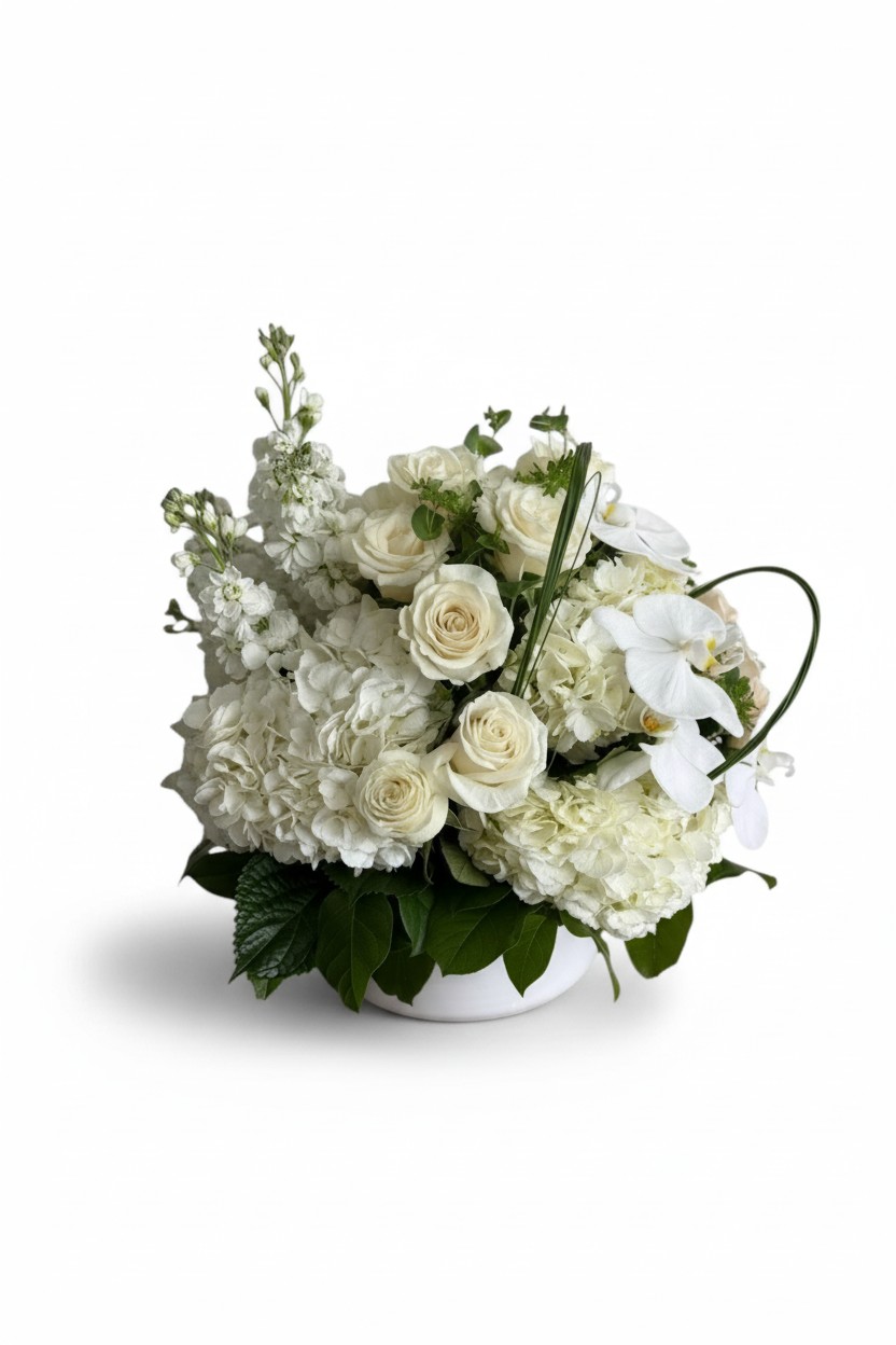 White Cloud - Image 2