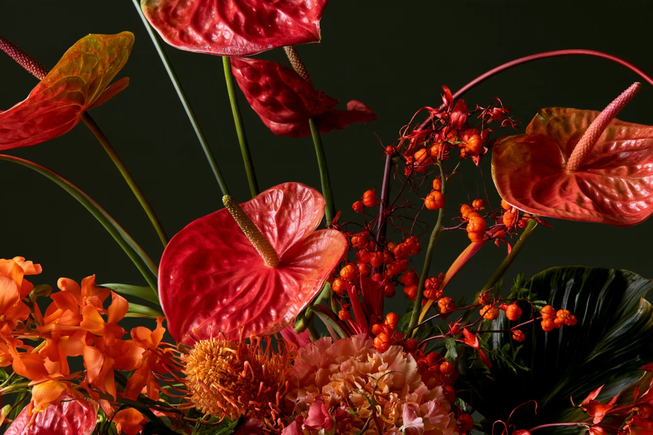 Anthuriums