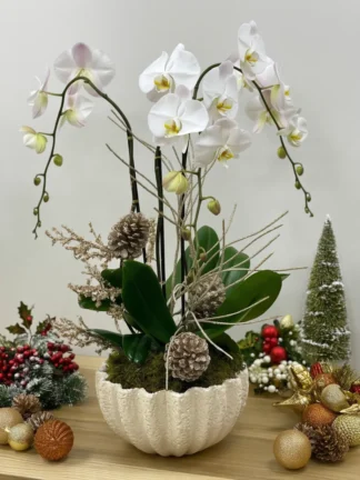 Christmas_Flowers_