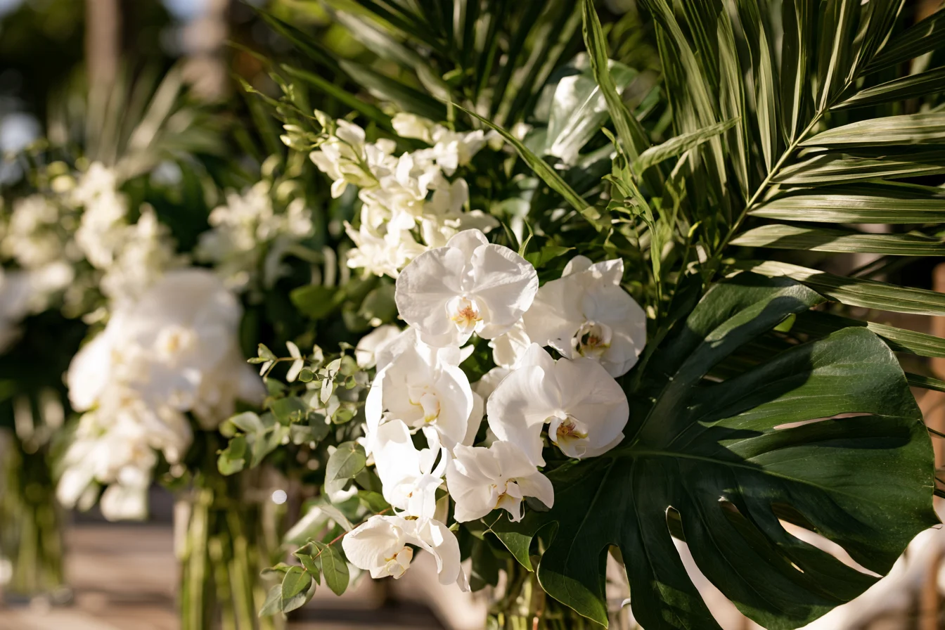 Heat-Tolerant Foliage