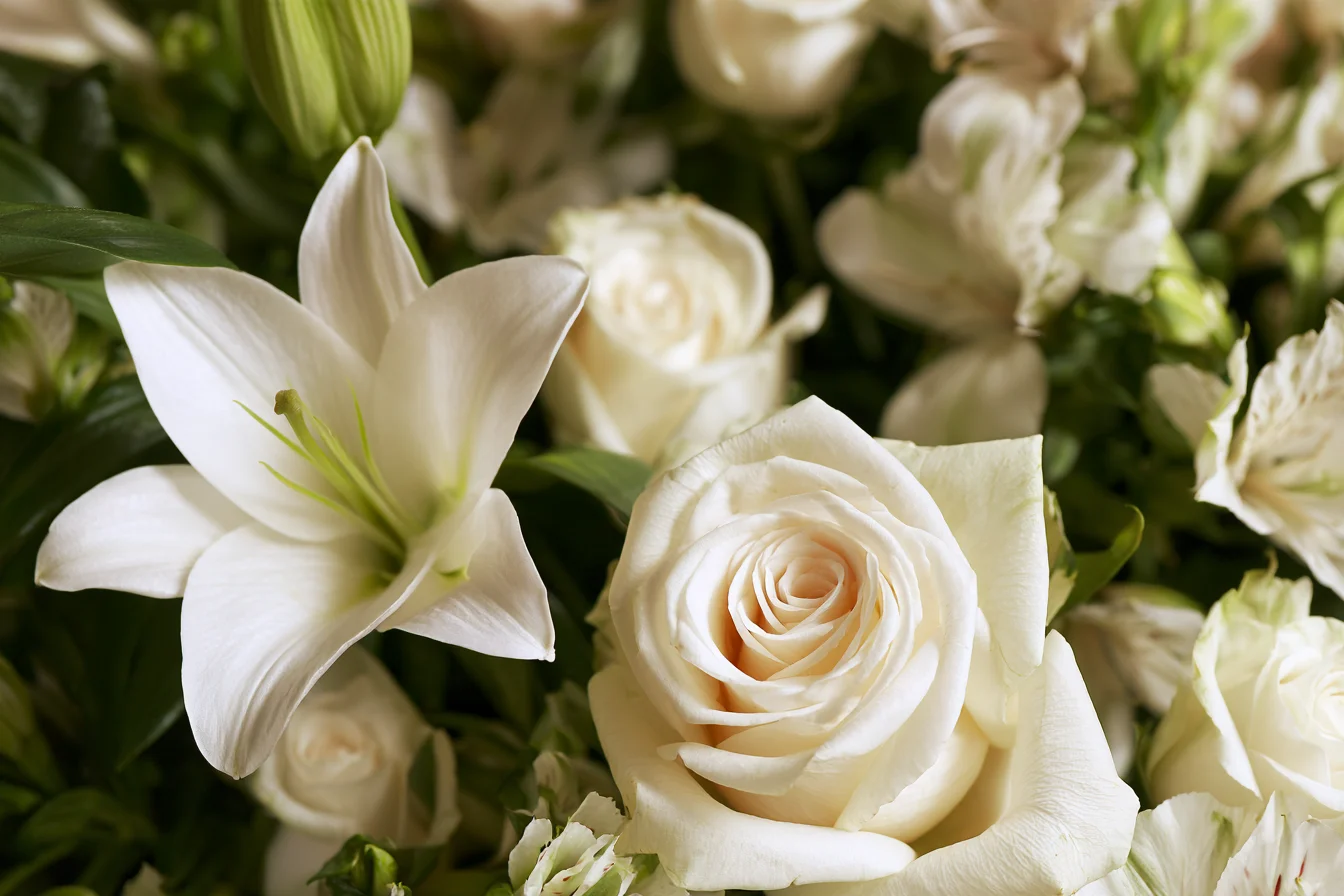 Sympathy and Condolences