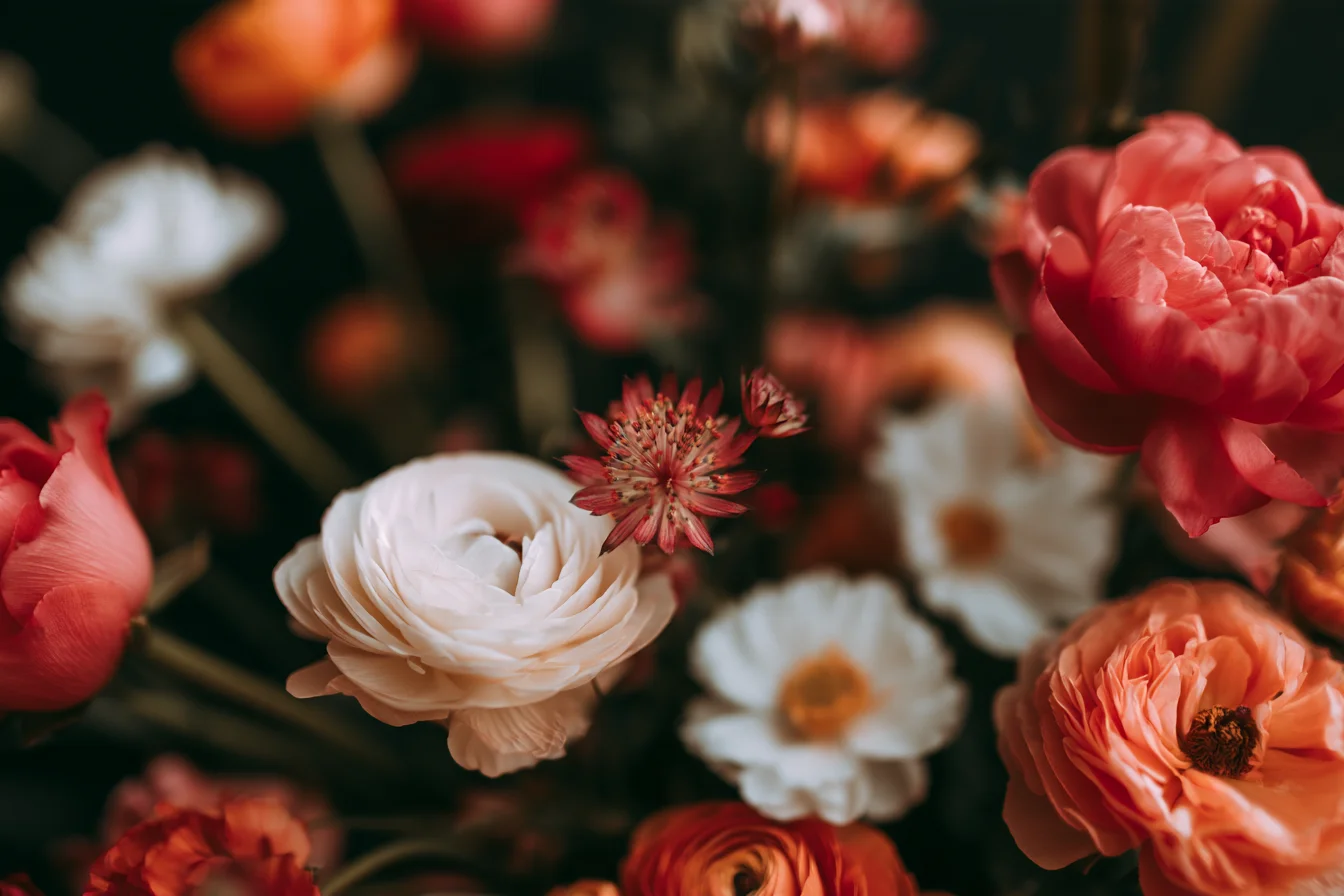 Decoding Flower Symbolism and Colors