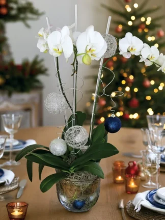 Christmas Mood